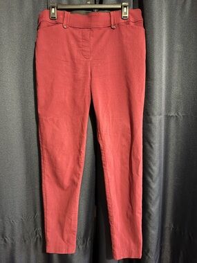 Slim Fit Burgundy/Deep Red Pants